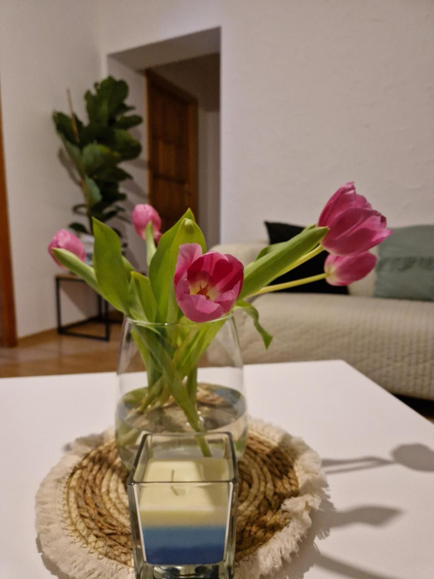 Apartament Mar&Mel グウホワジ エクステリア 写真